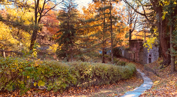 The cemetery in autumn