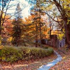 Cemetery Grounds. Photo by Terilyn..