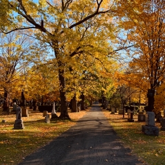 Cemetery Grounds. Photo by Terilyn.