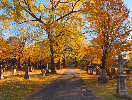 Cemetery Grounds. Photo by Terilyn.
